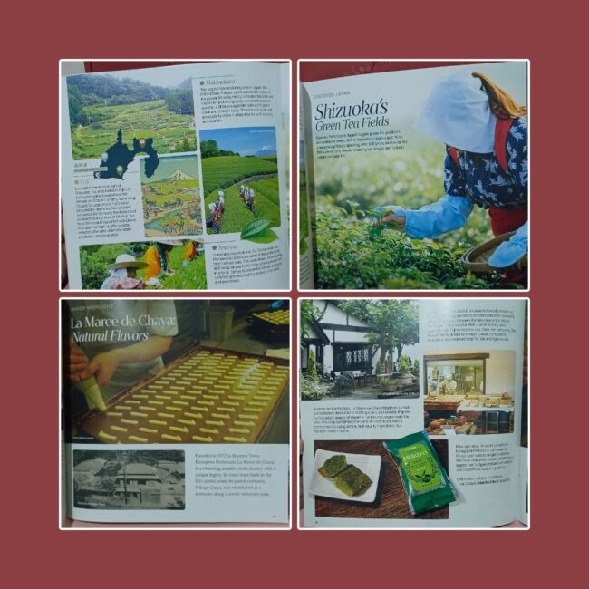 Sakuraco Japanese snackbox 