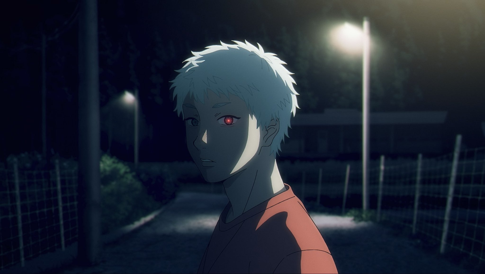 The Summer Hikaru Died